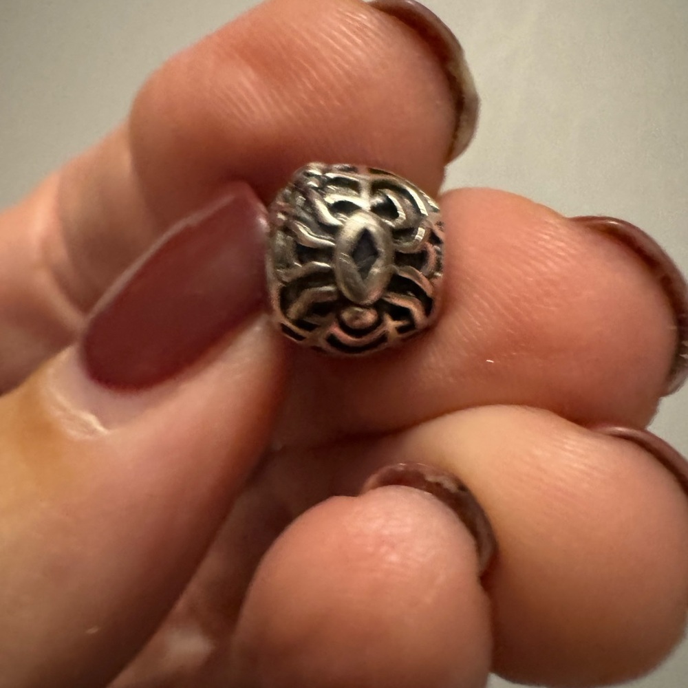 Chamilia sterling silver spider bead!